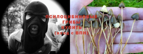 крисы Беломорск