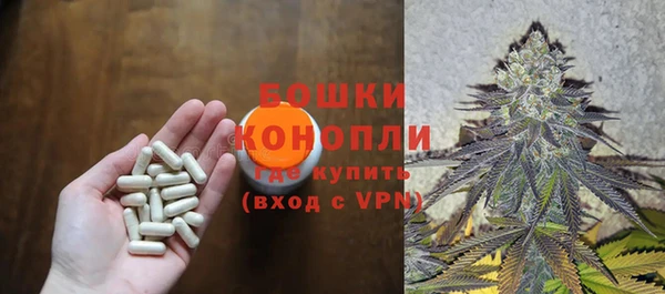 a pvp Белокуриха