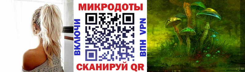 нарко площадка официальный сайт  Горняк  Галлюциногенные грибы Psilocybe 